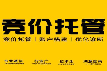 某科技公司SEM优化实践：从数据看效果提升